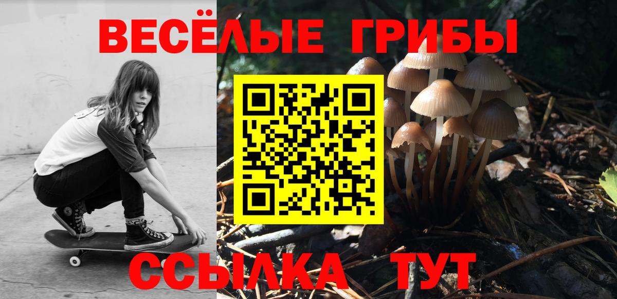 Псилоцибиновые грибы GOLDEN TEACHER Мелеуз